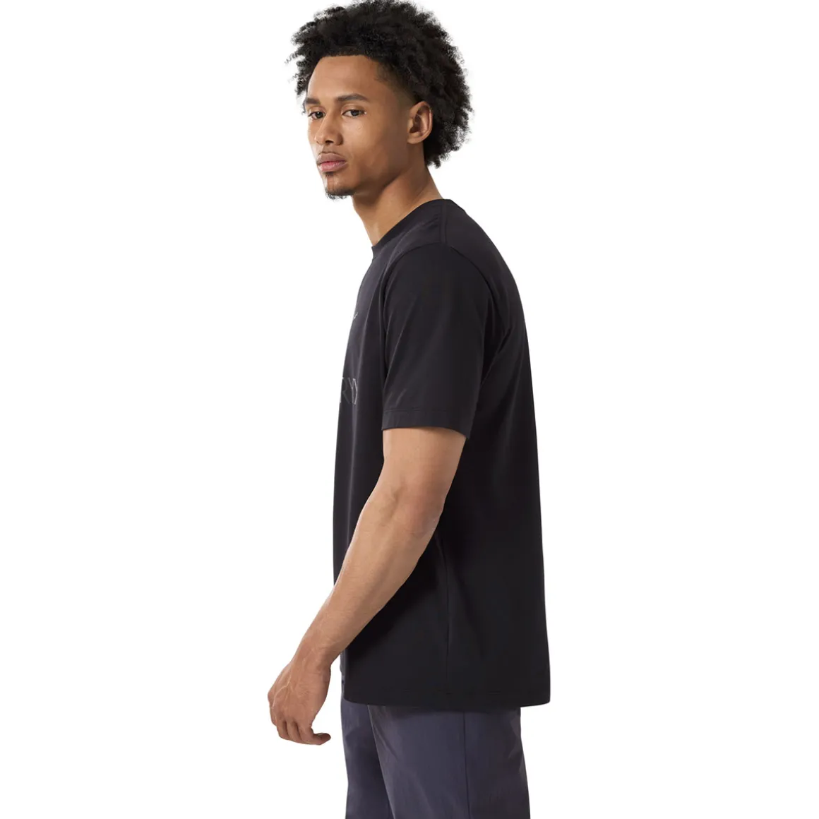 Arc'teryx Arc'Word Logo SS M men's t-shirt* T-Shirts|Men
