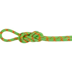 Mammut 8.0 Alpine Core Protect Dry climbing half rope* Ropes|Half Ropes