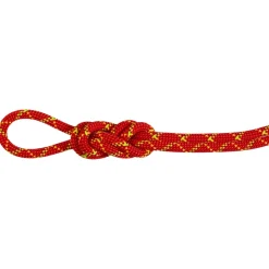 Mammut 8.0 Alpine Core Protect Dry climbing half rope* Ropes|Half Ropes