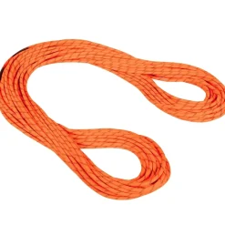 Mammut 8.0 Alpine Dry Rope climbing rope* Half Ropes